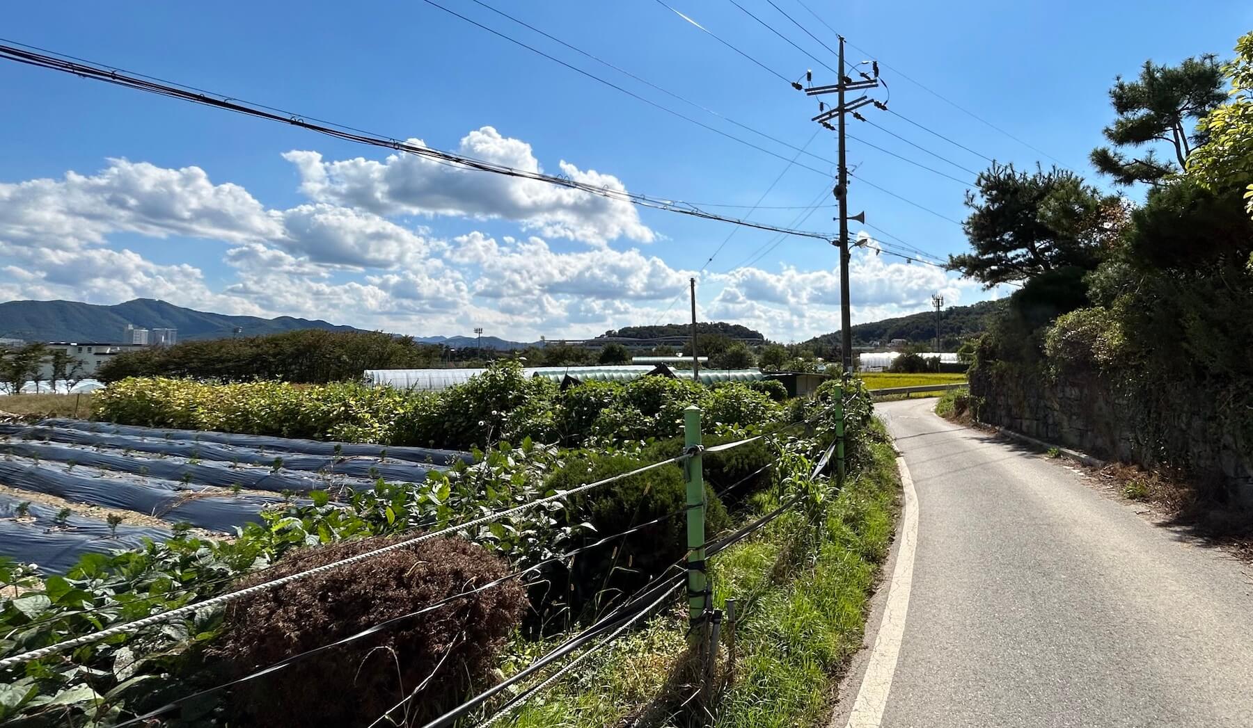 A country village in Korea