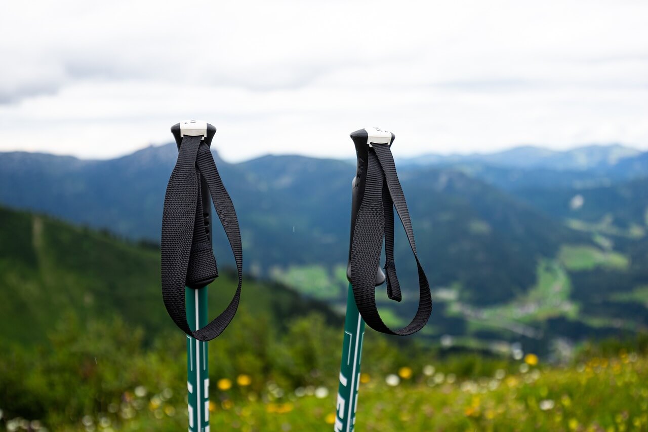 trekking pole